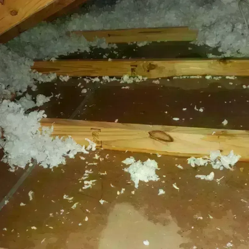 Attic Water Damage in Sioux City, IA