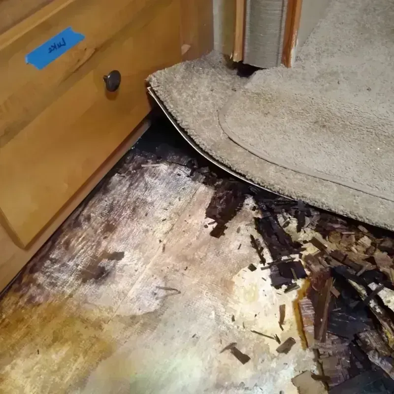 Wood Floor Water Damage in Sioux City, IA